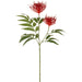 29" Protea Artificial Flower Stem -Red (pack of 12) - FSP835-RE