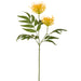 29" Protea Artificial Flower Stem -Yellow (pack of 12) - FSP835-YE