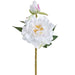 14.5" Peony Silk Flower Stem -White (Pack of 12) - FSP843-WH