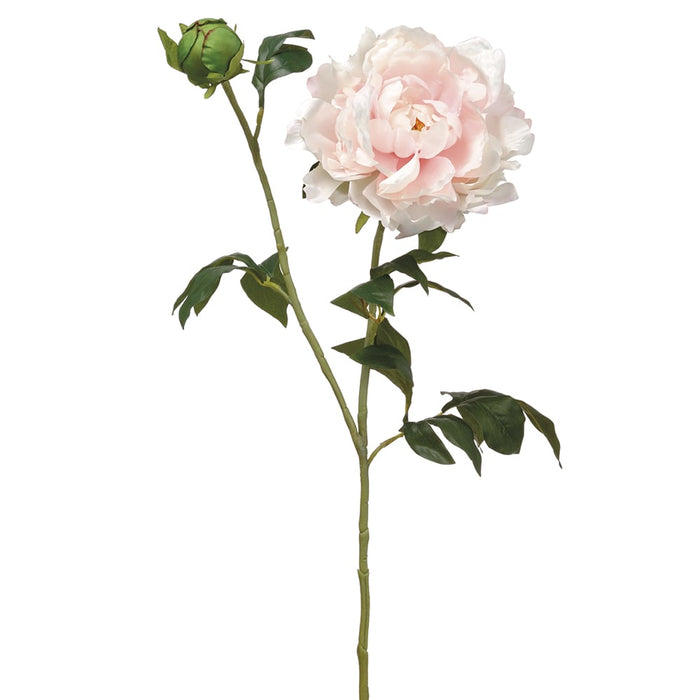 31" Peony Silk Flower Stem -Soft Pink (pack of 12) - FSP886-PK/SO