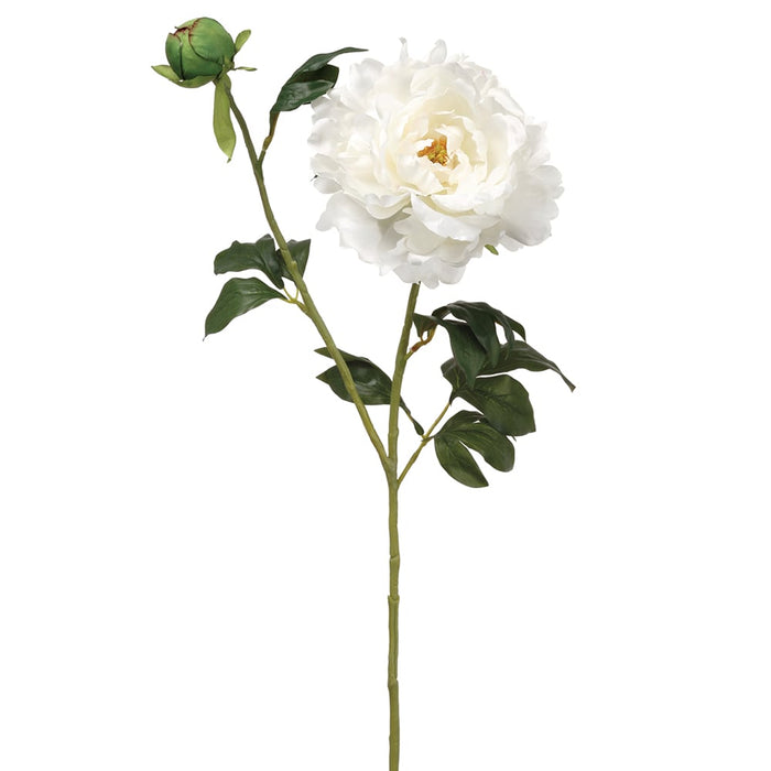 31" Peony Silk Flower Stem -White (pack of 12) - FSP886-WH