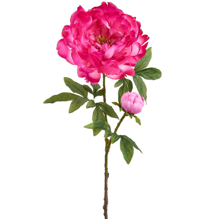 30.5" Peony Silk Flower Stem -Beauty (Pack of 6) - FSP912-BT