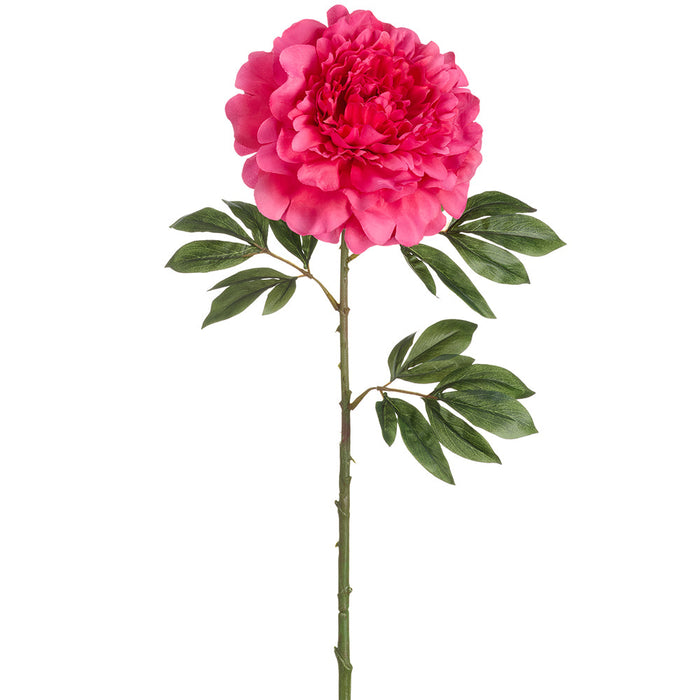 43" Peony Silk Flower Stem -Beauty (Pack of 6) - FSP922-BT