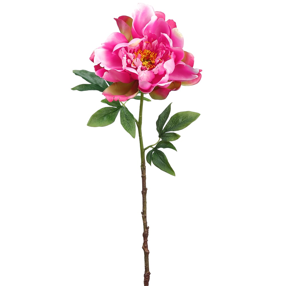 Peony Single Stem Pink Flower 74cm