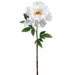 23.5" Silk Peony Flower Stem -White (pack of 12) - FSP929-WH