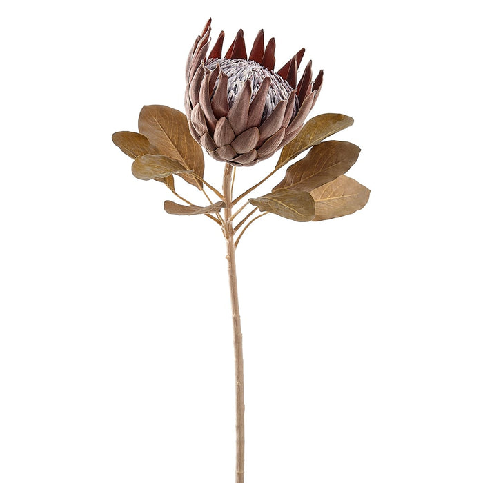 29" Artificial Queen Protea Flower Stem -Rust (pack of 6) - FSP933-RU