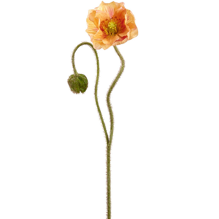 31" Poppy With Bud Silk Flower Stem -Coral (Pack of 12) - FSP971-CO