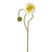 31" Poppy With Bud Silk Flower Stem -Cream (Pack of 12) - FSP971-CR