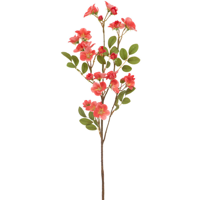28" Quince Blossom Silk Flower Stem -Coral (Pack of 12) - FSQ002-CO