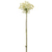23" Queen Anne's Lace Artificial Flower Stem -Cream (Pack of 12) - FSQ037-CR