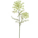 28" Queen Anne's Lace Silk Flower Stem -Cream (Pack of 12) - FSQ042-CR
