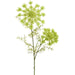28" Queen Anne's Lace Silk Flower Stem -Green (Pack of 12) - FSQ042-GR
