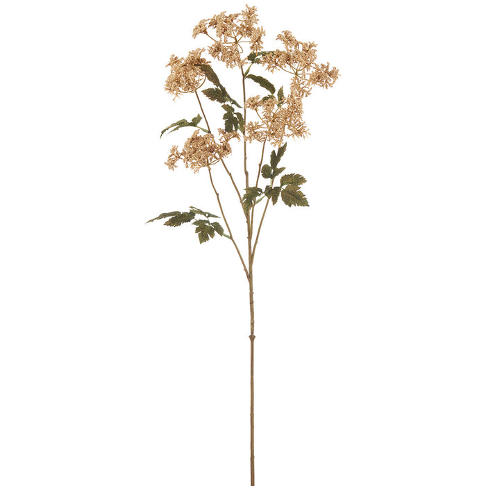 36.5" Queen Anne's Lace Artificial Flower Stem -Cream (Pack of 12) - FSQ054-CR