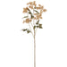 36.5" Queen Anne's Lace Artificial Flower Stem -Cream (Pack of 12) - FSQ054-CR