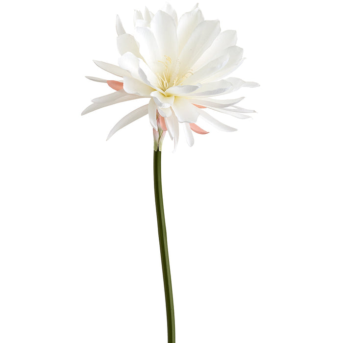 32" Queen Of The Night Silk Flower Stem -White (Pack of 12) - FSQ085-WH