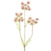 20.5" Queen Anne's Lace Artificial Flower Stem -Pink (pack of 12) - FSQ454-PK