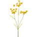 20.5" Queen Anne's Lace Artificial Flower Stem -Yellow (pack of 12) - FSQ454-YE