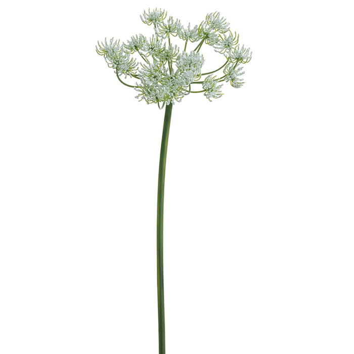 19" Queen Anne's Lace Silk Flower Stem -White (pack of 12) - FSQ901-WH