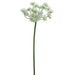 19" Queen Anne's Lace Silk Flower Stem -White (pack of 12) - FSQ901-WH