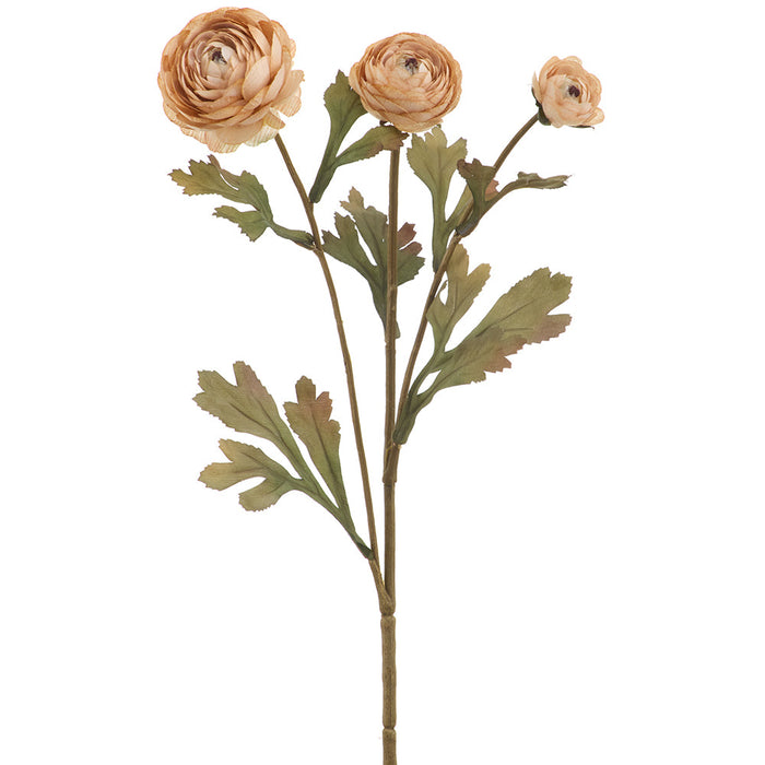 19.5" Ranunculus Silk Flower Stem -Beige (Pack of 12) - FSR017-BE