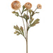 19.5" Ranunculus Silk Flower Stem -Beige (Pack of 12) - FSR017-BE