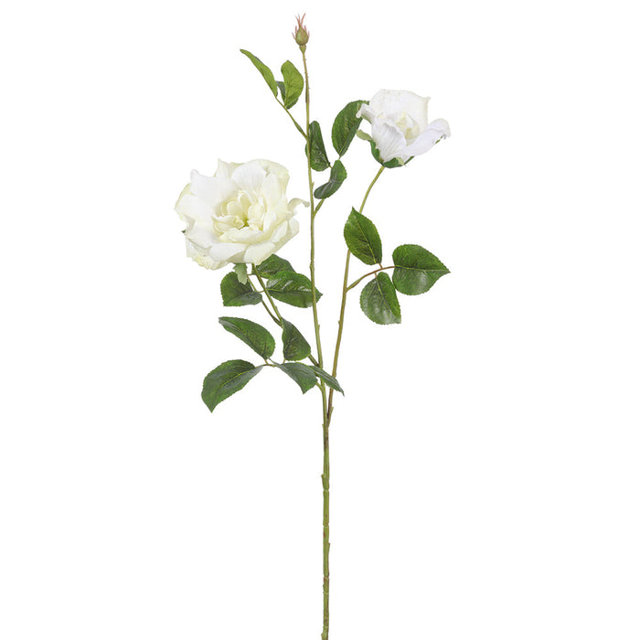 32.2" Wild Rose Silk Flower Stem -Cream (pack of 12) - FSR029-CR