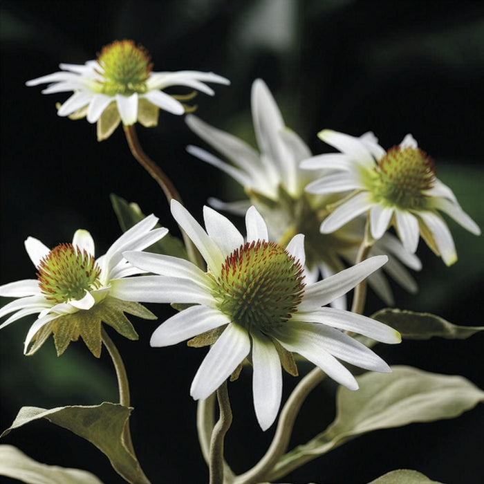 20.5" Silk Rudbeckia Black-Eyed Susan Flower Spray -White (Pack of 12) - FSR037-WH