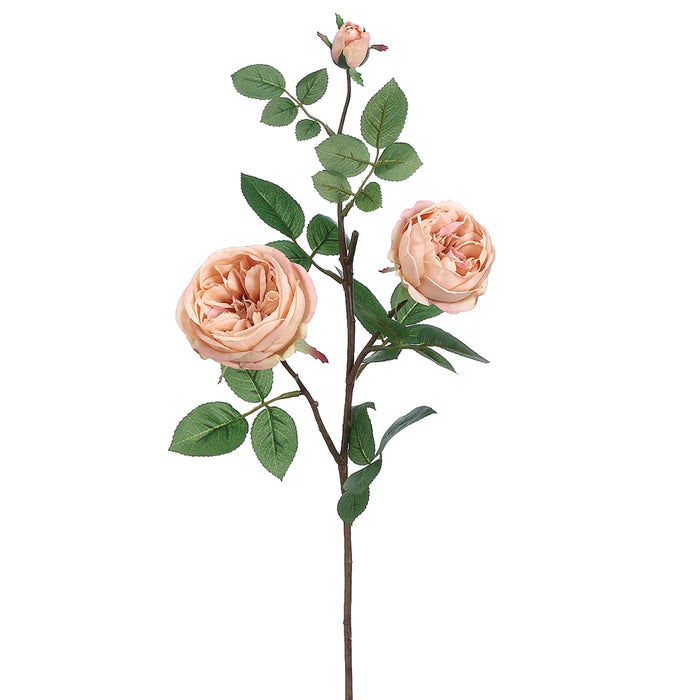 29" Silk Cabbage Rose Flower Spray -Beige (pack of 12) - FSR038-BE