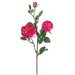 29" Silk Cabbage Rose Flower Spray -Fuchsia (pack of 12) - FSR038-FU