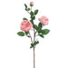 29" Silk Cabbage Rose Flower Spray -Peach/Cream (pack of 12) - FSR038-PE/CR