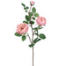 29" Silk Cabbage Rose Flower Spray -Soft Pink (pack of 12) - FSR038-PK/SO