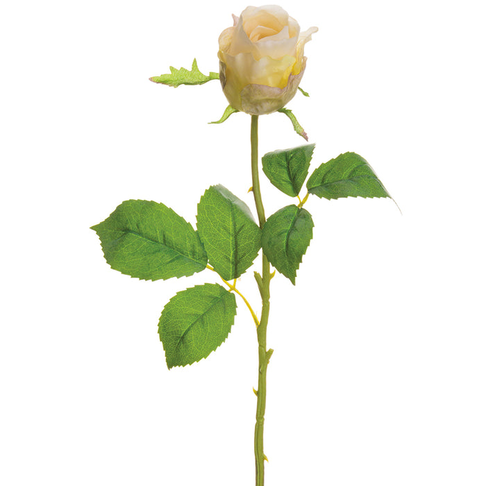 19" Silk Rose Bud Flower Stem -Beige/Green (pack of 12) - FSR063-BE/GR