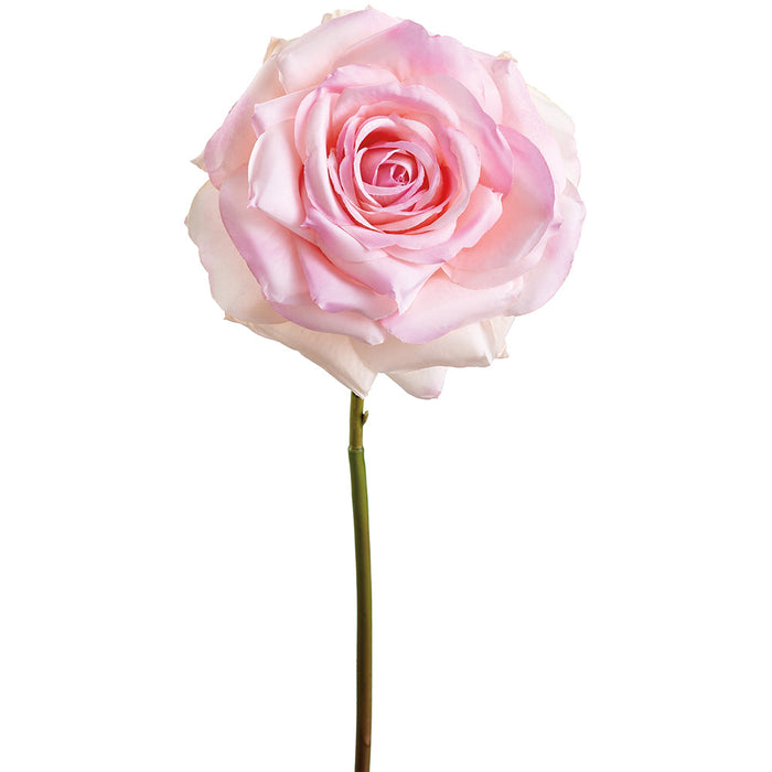 16" Rose Silk Flower Stem -Soft Pink (Pack of 12) - FSR073-PK/SO