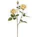 26" Rose Silk Flower Stem -Beige (pack of 12) - FSR102-BE