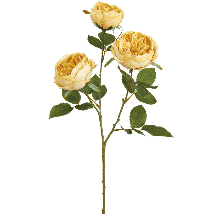 27.5" Cabbage Rose Silk Flower Stem -Beige (pack of 12) - FSR103-BE