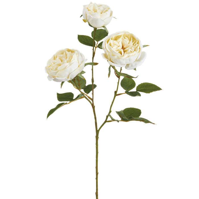 27.5" Cabbage Rose Silk Flower Stem -Ivory (pack of 12) - FSR103-IV