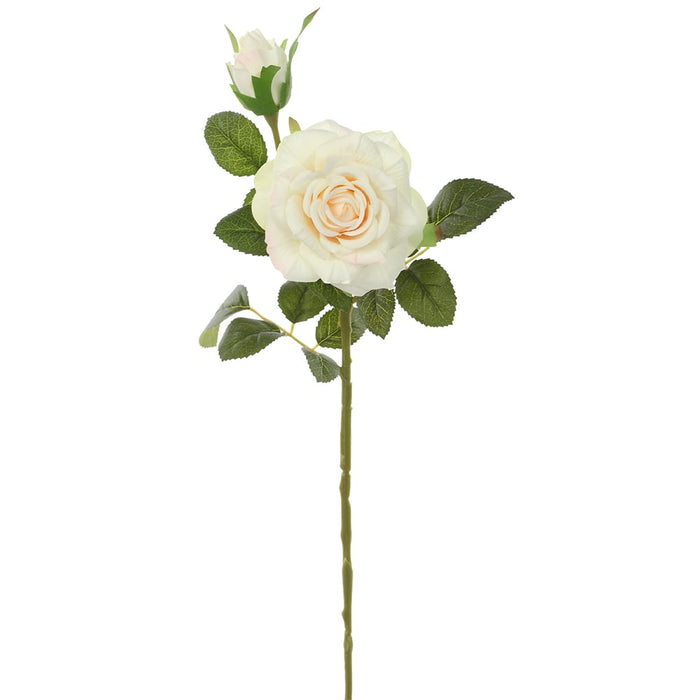 18" Silk Rose Flower Stem -Cream/White (pack of 12) - FSR120-CR/WH