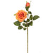 18" Silk Rose Flower Stem -Salmon (pack of 12) - FSR120-SA