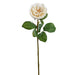26" Rose Silk Flower Stem -Cream (Pack of 12) - FSR135-CR
