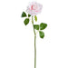 21.5" Real Touch Rose Silk Flower Stem -Soft Pink (Pack of 12) - FSR151-PK/SO