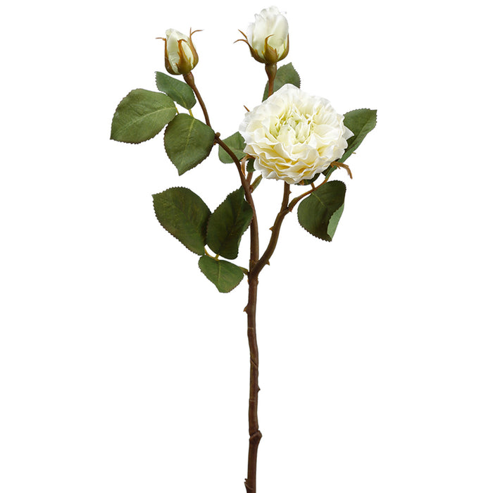 18.75" Silk Rose Flower Stem -Cream (pack of 12) - FSR152-CR