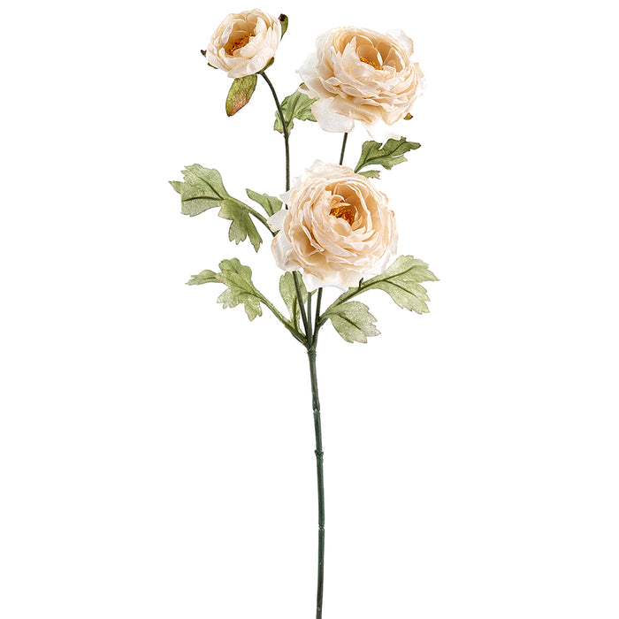 25" Silk Ranunculus Flower Stem -Cream (pack of 12) - FSR160-CR