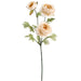 25" Silk Ranunculus Flower Stem -Cream (pack of 12) - FSR160-CR