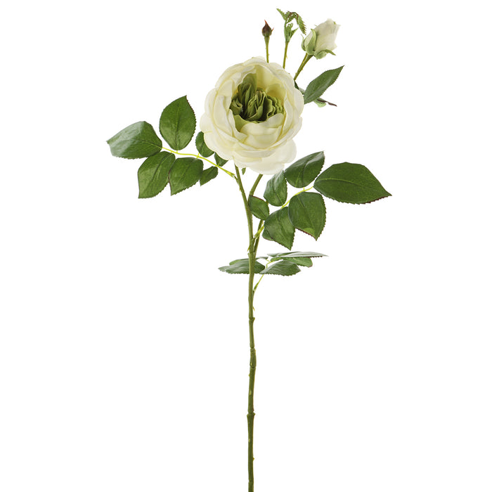 31.5" Silk Rose Flower Stem -Cream/Green (pack of 12) - FSR161-CR/GR