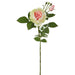 31.5" Silk Rose Flower Stem -Cream/Pink (pack of 12) - FSR161-CR/PK