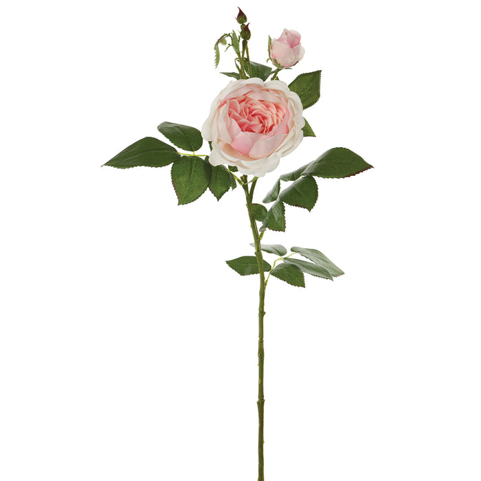 31.5" Silk Rose Flower Stem -2 Tone Pink (pack of 12) - FSR161-PK/TT