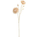 23" Ranunculus Silk Flower Stem -Cream (Pack of 12) - FSR168-CR