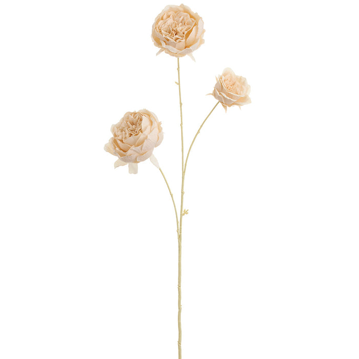 32" Cabbage Rose Silk Flower Stem -Cream (Pack of 12) - FSR200-CR