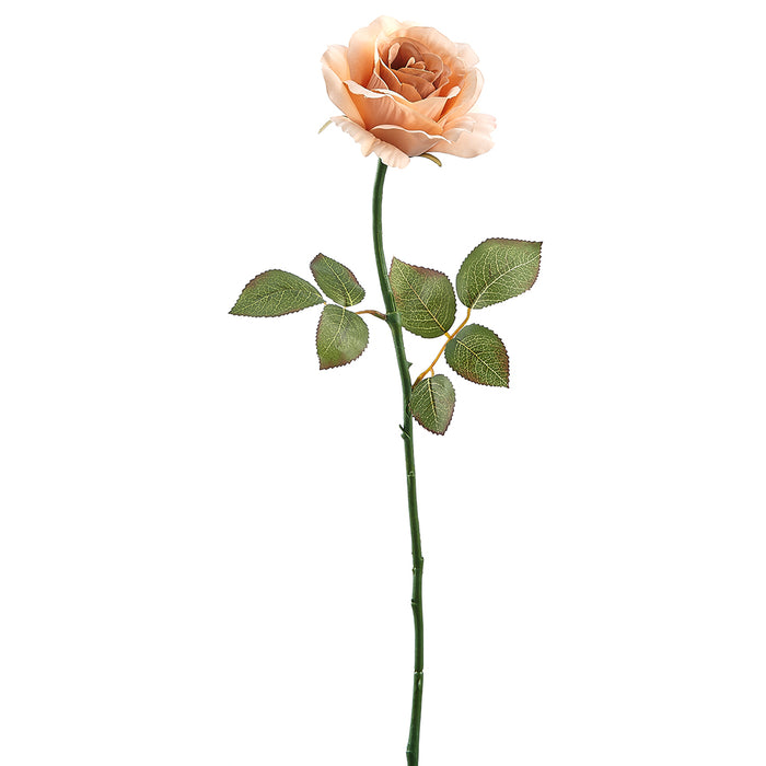 22.25" Silk Rose Flower Stem -Peach (pack of 12) - FSR219-PE