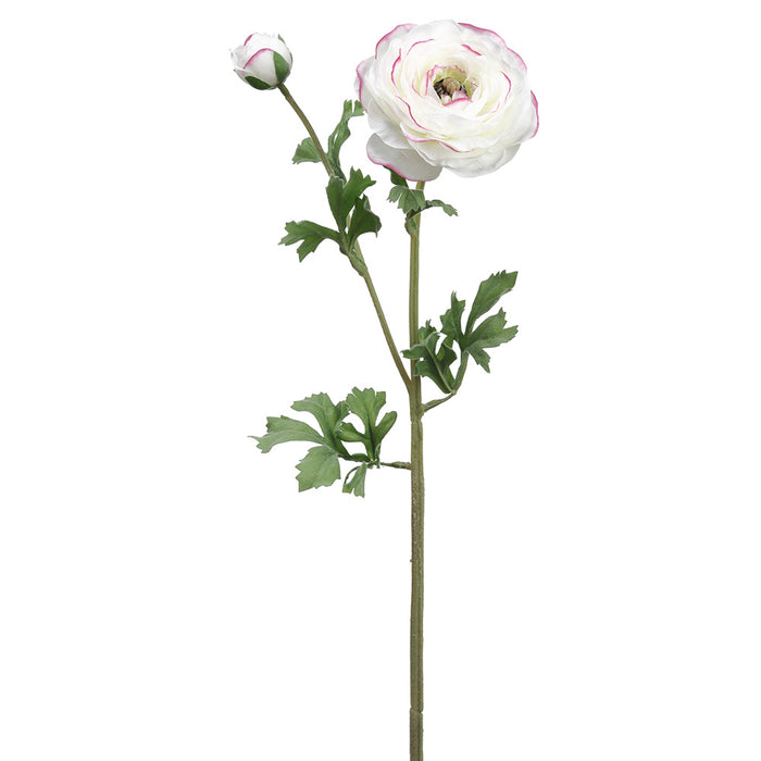 24.75" Silk Ranunculus Flower Stem -Cream (pack of 12) - FSR229-CR